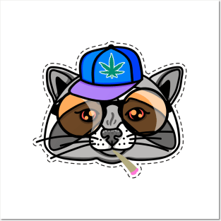 Boy raccoon in a cap and sunglasses Posters and Art